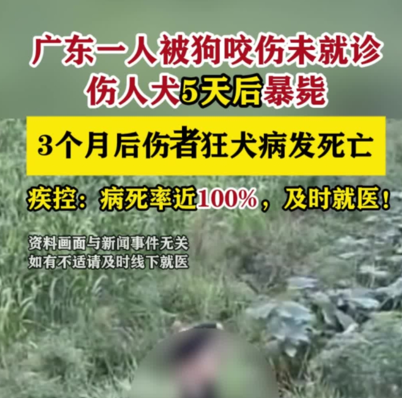狂犬病发作=脑死亡