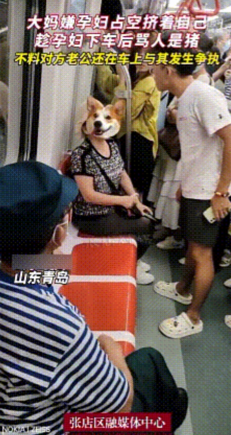 地铁嚣张大妈辱骂孕妇是‘猪’还动手推人！小伙克制未还手引热议