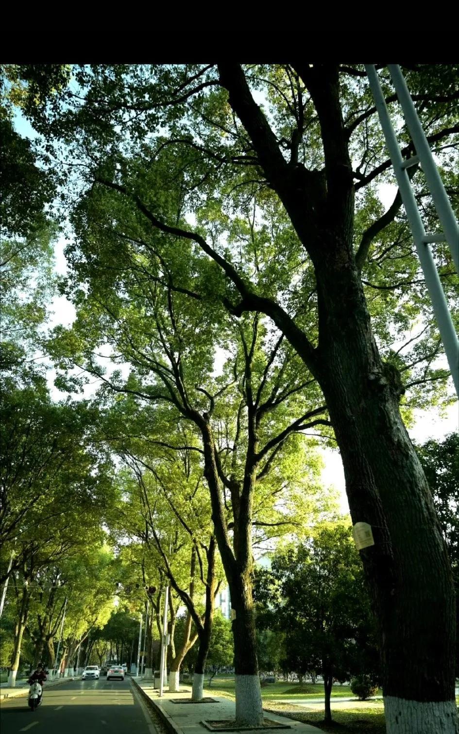 房价大跌