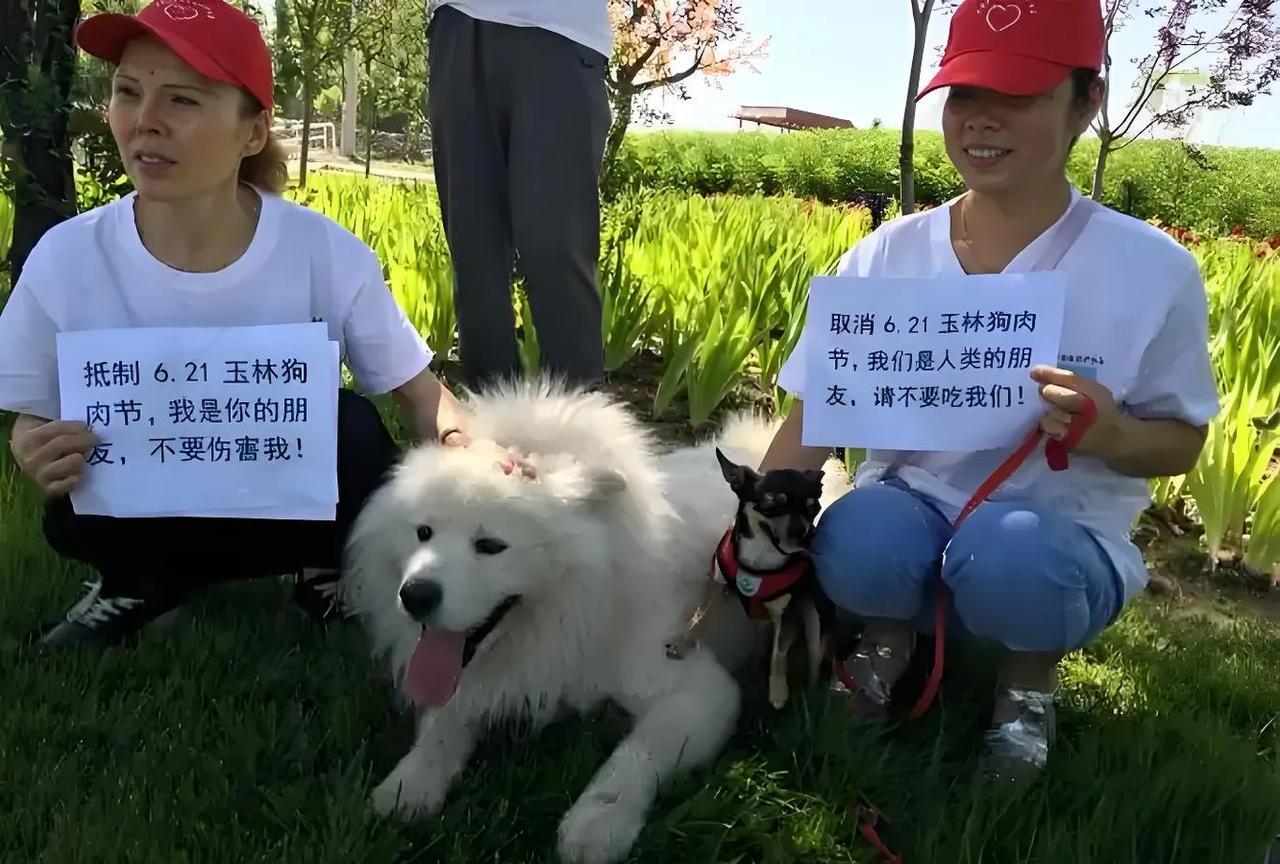 玉林狗肉节争议