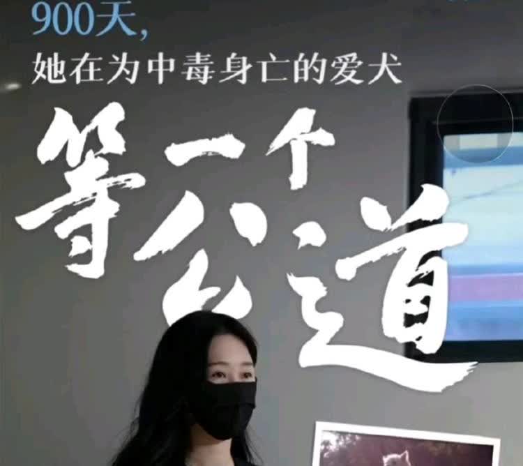 北京女子辞职900天追凶