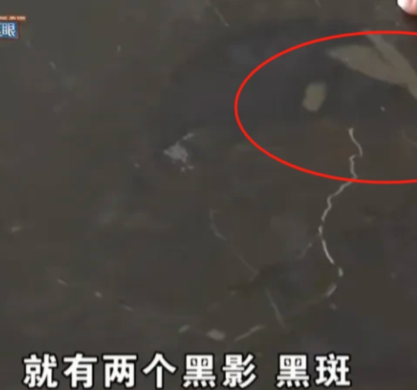 1700万豪宅变'拼图房'！杭州业主收房惊见大理石地砖色差如'抽象画'