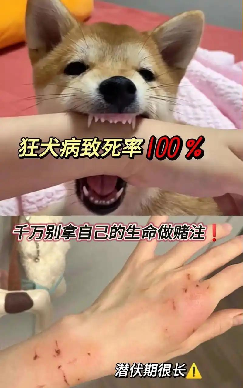 烙铁治狂犬病