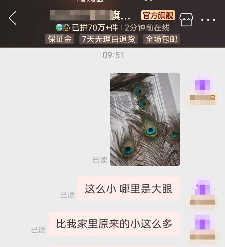 孔雀羽变'小气鬼'