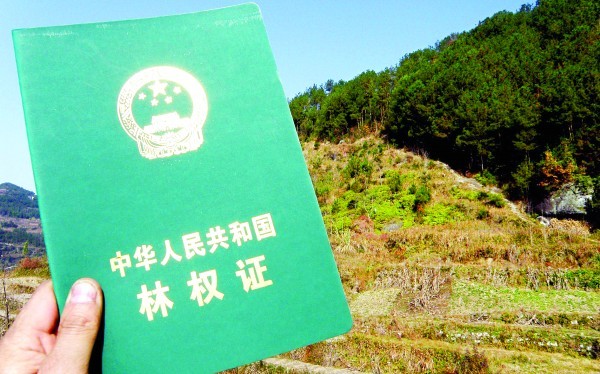 改了中网怎样换行驶证