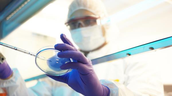 scientist working in lab
