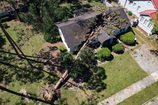Destruction Hurricane Helene brought destruction to six states across the US south. Above, a tree downed in Georgia