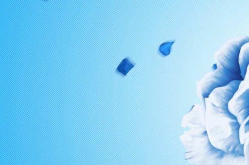 茄子视频：解锁短视频新玩法，创意与欢乐并存！